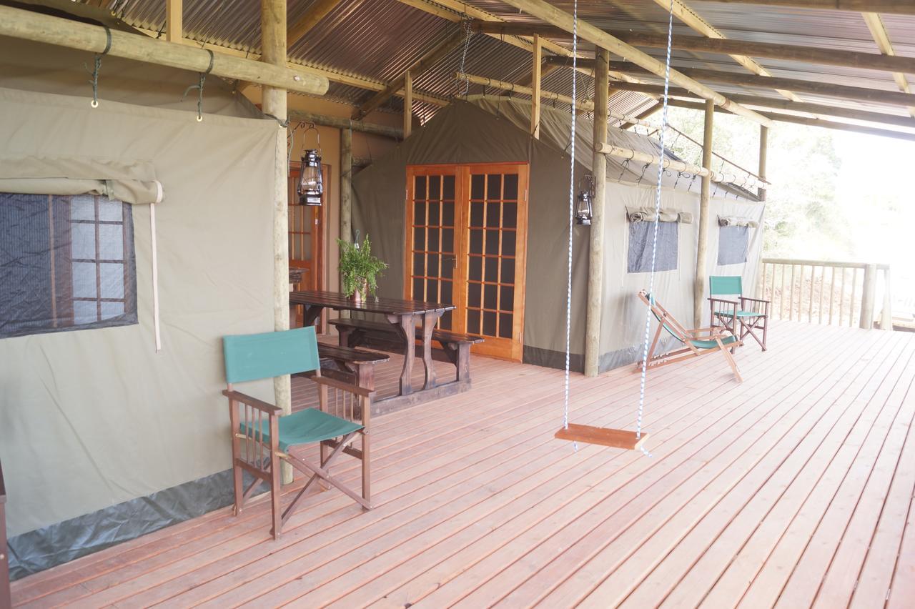 Pure Nature Familodge Paterson Ngoại thất bức ảnh